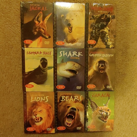 For the Animal Lover! - Picture 2 of 8